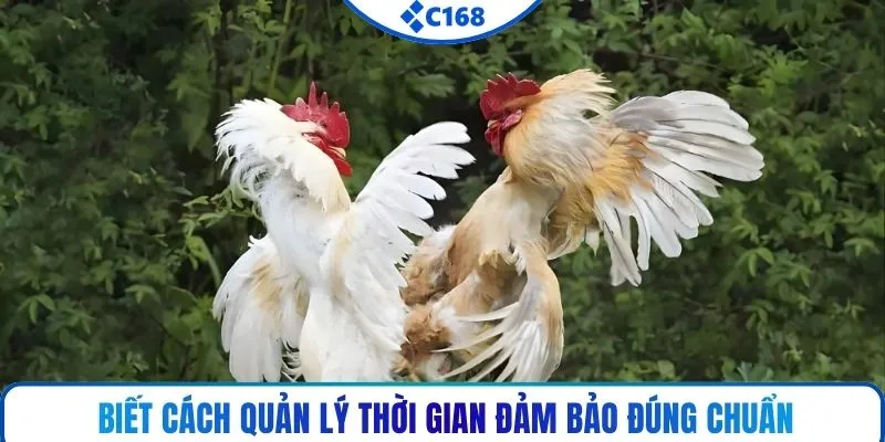 Biết cách quản lý thời gian đảm bảo đúng chuẩn